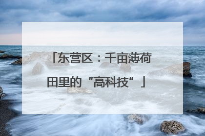 东营区：千亩薄荷田里的“高科技”