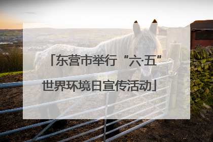 东营市举行“六·五”世界环境日宣传活动
