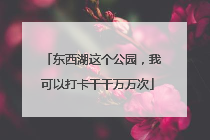 东西湖这个公园，我可以打卡千千万万次