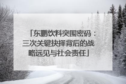东鹏饮料突围密码：三次关键抉择背后的战略远见与社会责任