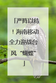 严阵以待！海南移动全力迎战台风“蝴蝶”