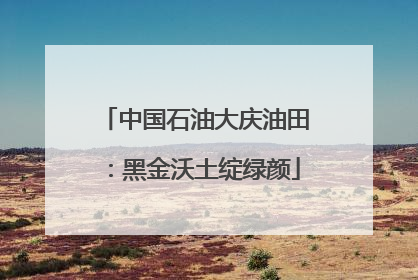 中国石油大庆油田：黑金沃土绽绿颜