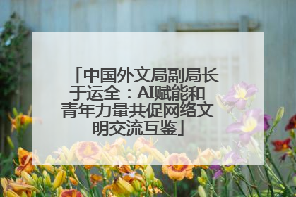 中国外文局副局长于运全：AI赋能和青年力量共促网络文明交流互鉴