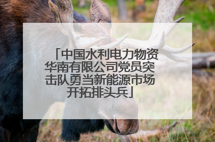 中国水利电力物资华南有限公司党员突击队勇当新能源市场开拓排头兵