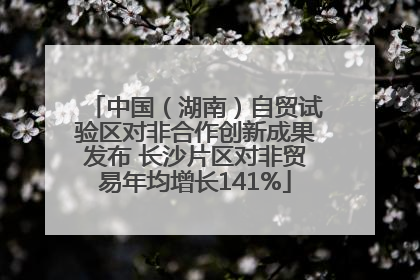 中国（湖南）自贸试验区对非合作创新成果发布 长沙片区对非贸易年均增长141%