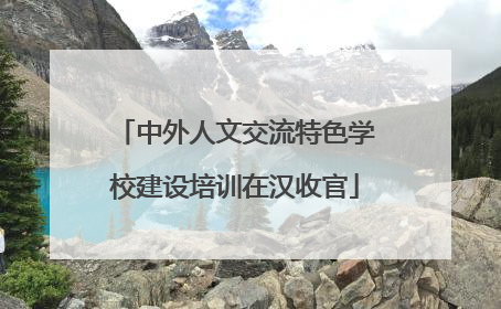 中外人文交流特色学校建设培训在汉收官