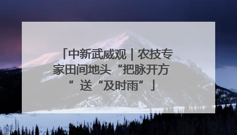 中新武威观｜农技专家田间地头“把脉开方”送“及时雨”