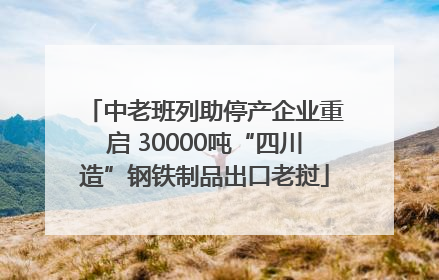 中老班列助停产企业重启 30000吨“四川造”钢铁制品出口老挝
