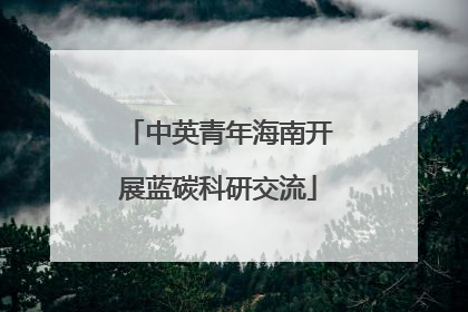 中英青年海南开展蓝碳科研交流