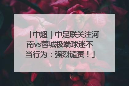 中超｜中足联关注河南vs蓉城极端球迷不当行为：强烈谴责！
