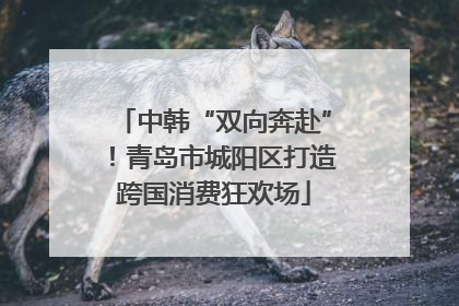 中韩“双向奔赴”！青岛市城阳区打造跨国消费狂欢场