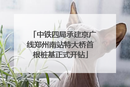 中铁四局承建京广线郑州南站特大桥首根桩基正式开钻