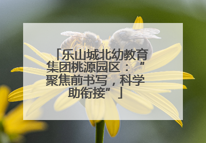 乐山城北幼教育集团桃源园区：“聚焦前书写，科学助衔接”