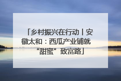 乡村振兴在行动丨安徽太和：西瓜产业铺就“甜蜜”致富路