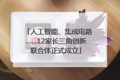 人工智能、集成电路……12家长三角创新联合体正式成立