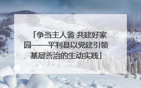 争当主人翁 共建好家园——平利县以党建引领基层善治的生动实践