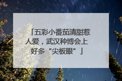 五彩小番茄清甜惹人爱，武汉种博会上好多“尖板眼”