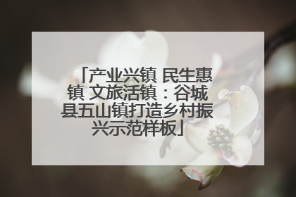 产业兴镇 民生惠镇 文旅活镇：谷城县五山镇打造乡村振兴示范样板