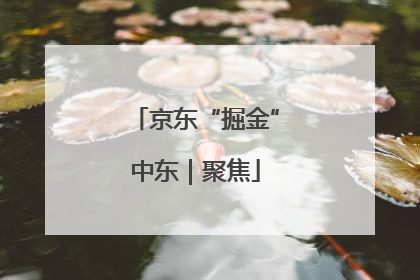 京东“掘金”中东｜聚焦