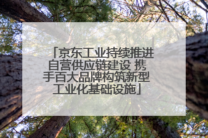 京东工业持续推进自营供应链建设 携手百大品牌构筑新型工业化基础设施