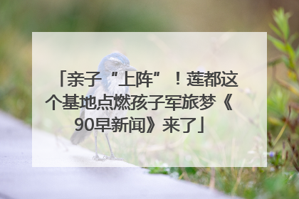 亲子“上阵”！莲都这个基地点燃孩子军旅梦《90早新闻》来了