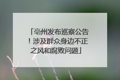 亳州发布巡察公告！涉及群众身边不正之风和腐败问题