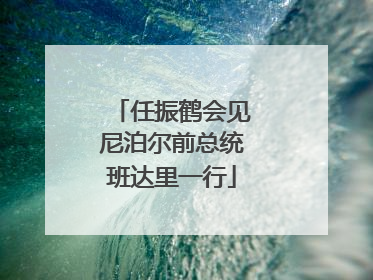 任振鹤会见尼泊尔前总统班达里一行