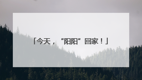 今天，“阳阳”回家！
