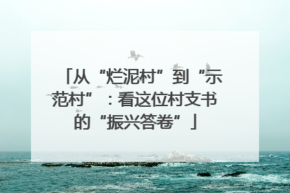从“烂泥村”到“示范村”：看这位村支书的“振兴答卷”