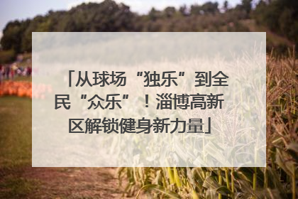 从球场“独乐”到全民“众乐”！淄博高新区解锁健身新力量