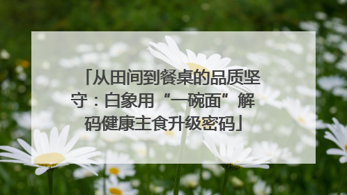 从田间到餐桌的品质坚守：白象用“一碗面”解码健康主食升级密码