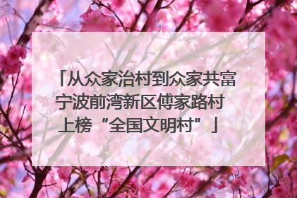 从众家治村到众家共富 宁波前湾新区傅家路村上榜“全国文明村”