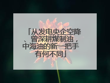 从发电央企空降、曾深耕煤制油，中海油的新一把手有何不同