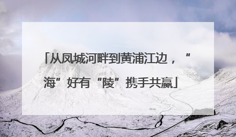 从凤城河畔到黄浦江边，“海”好有“陵”携手共赢