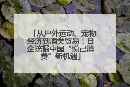 从户外运动、宠物经济到酒类贸易，日企挖掘中国“悦己消费”新机遇