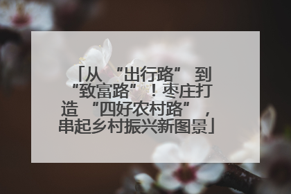从 “出行路” 到 “致富路”！枣庄打造 “四好农村路”，串起乡村振兴新图景