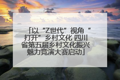 以“Z世代”视角“打开”乡村文化 四川省第五届乡村文化振兴魅力竞演大赛启动