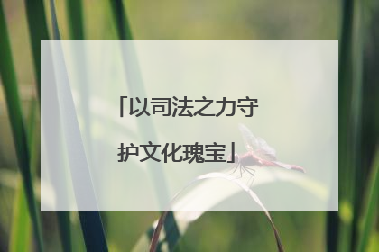 以司法之力守护文化瑰宝
