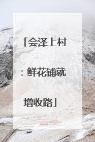 会泽上村：鲜花铺就增收路