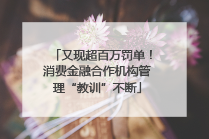 又现超百万罚单！消费金融合作机构管理“教训”不断