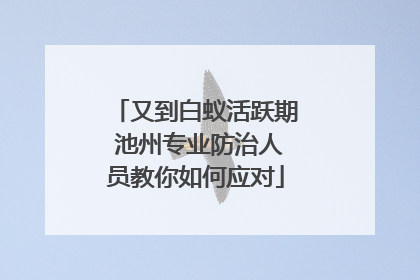 又到白蚁活跃期 池州专业防治人员教你如何应对