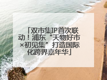双市集IP首次联动！浦东“天物好市×初见集”打造国际化跨界嘉年华