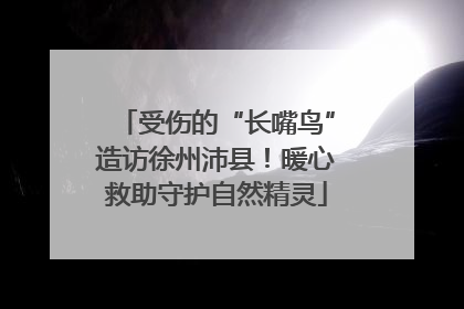 受伤的“长嘴鸟”造访徐州沛县！暖心救助守护自然精灵