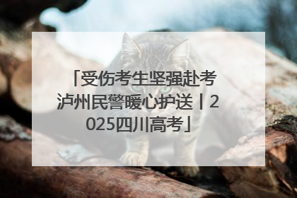 受伤考生坚强赴考 泸州民警暖心护送丨2025四川高考