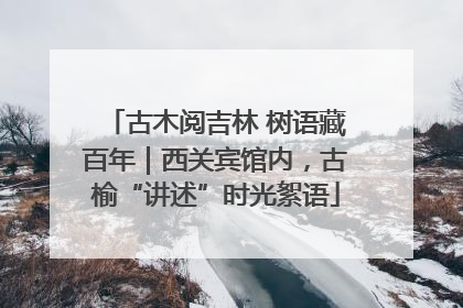 古木阅吉林 树语藏百年｜西关宾馆内，古榆“讲述”时光絮语