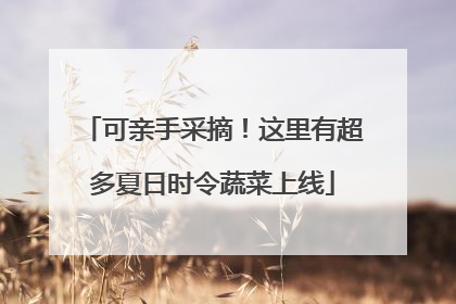 可亲手采摘！这里有超多夏日时令蔬菜上线