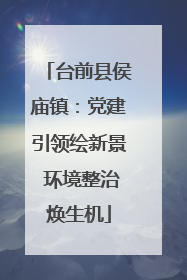 台前县侯庙镇：党建引领绘新景 环境整治焕生机