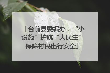台前县委编办：“小设施”护航“大民生” 保障村民出行安全