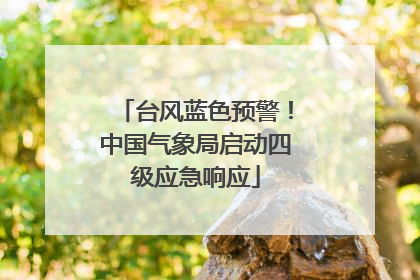 台风蓝色预警！中国气象局启动四级应急响应