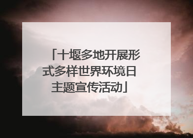 十堰多地开展形式多样世界环境日主题宣传活动